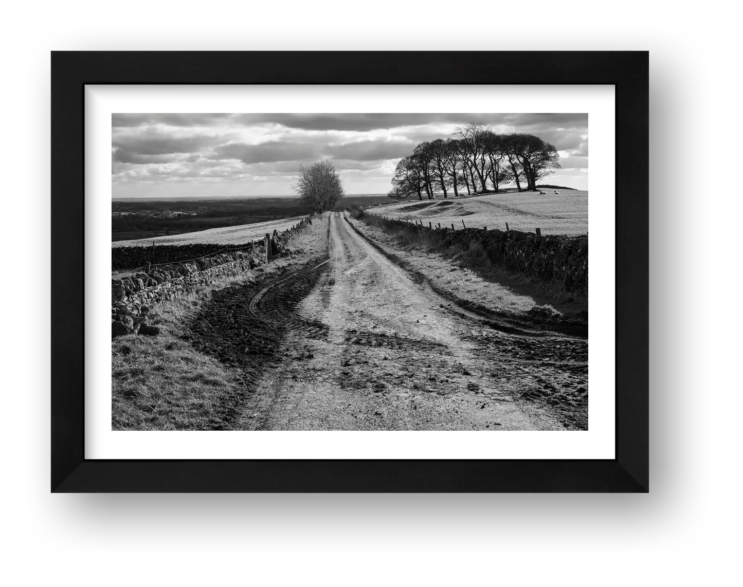 Robin Weaver – Muddy Tracks — framed
