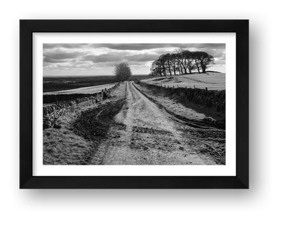 Robin Weaver – Muddy Tracks — framed