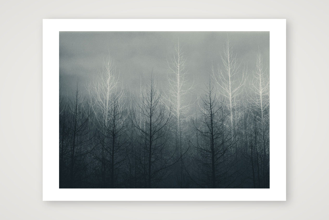 Pip – Untitled — 40×30cm, 16×12" Print only