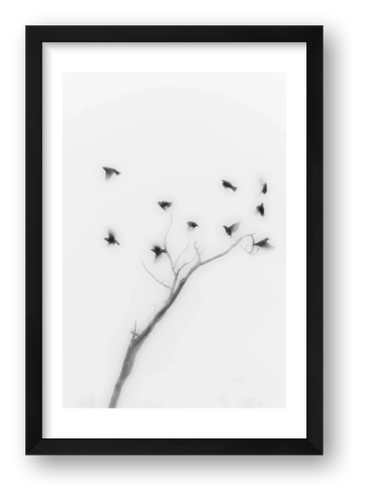 Michael Johnson – Thirteen Ways of Looking — framed