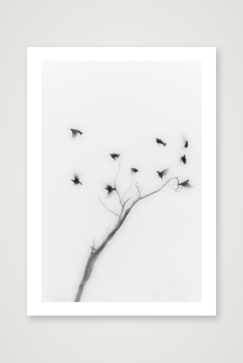 Michael Johnson – Thirteen Ways of Looking — A4 (21×30cm, 8×12") Print only