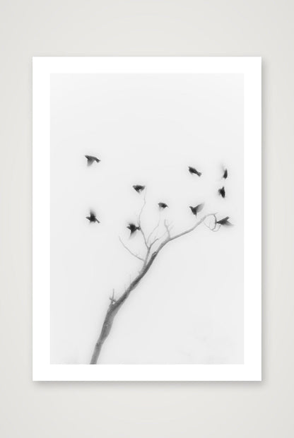 Michael Johnson – Thirteen Ways of Looking — A4 (21×30cm, 8×12") Print only