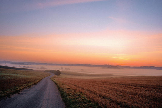 A landscape photo featuring a road running through a field with a pink and blue sky in the background, indicative of either sunrise or sunset.