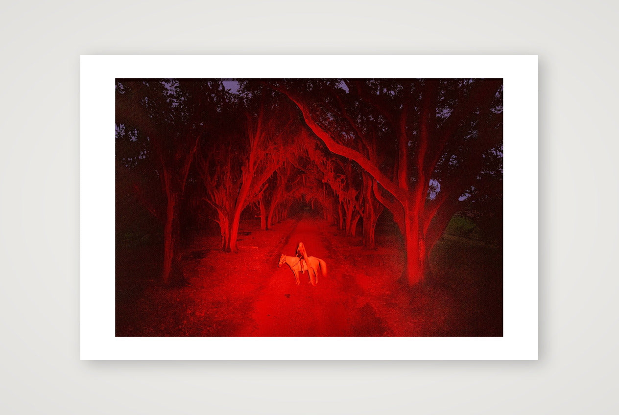 Briscoe Park – Alone Again — 45×30cm, 18×12" Print only