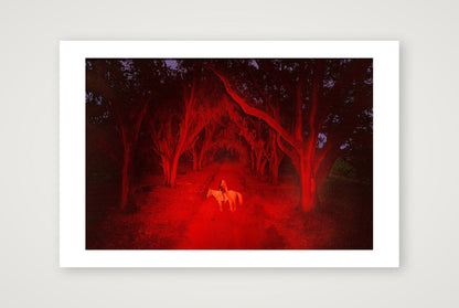 Briscoe Park – Alone Again — 45×30cm, 18×12" Print only