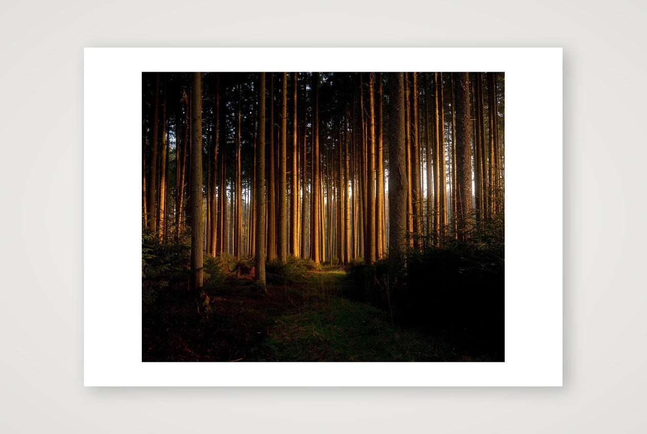 Florian – Untitled — A4 (30×21cm, 12×8") Print only