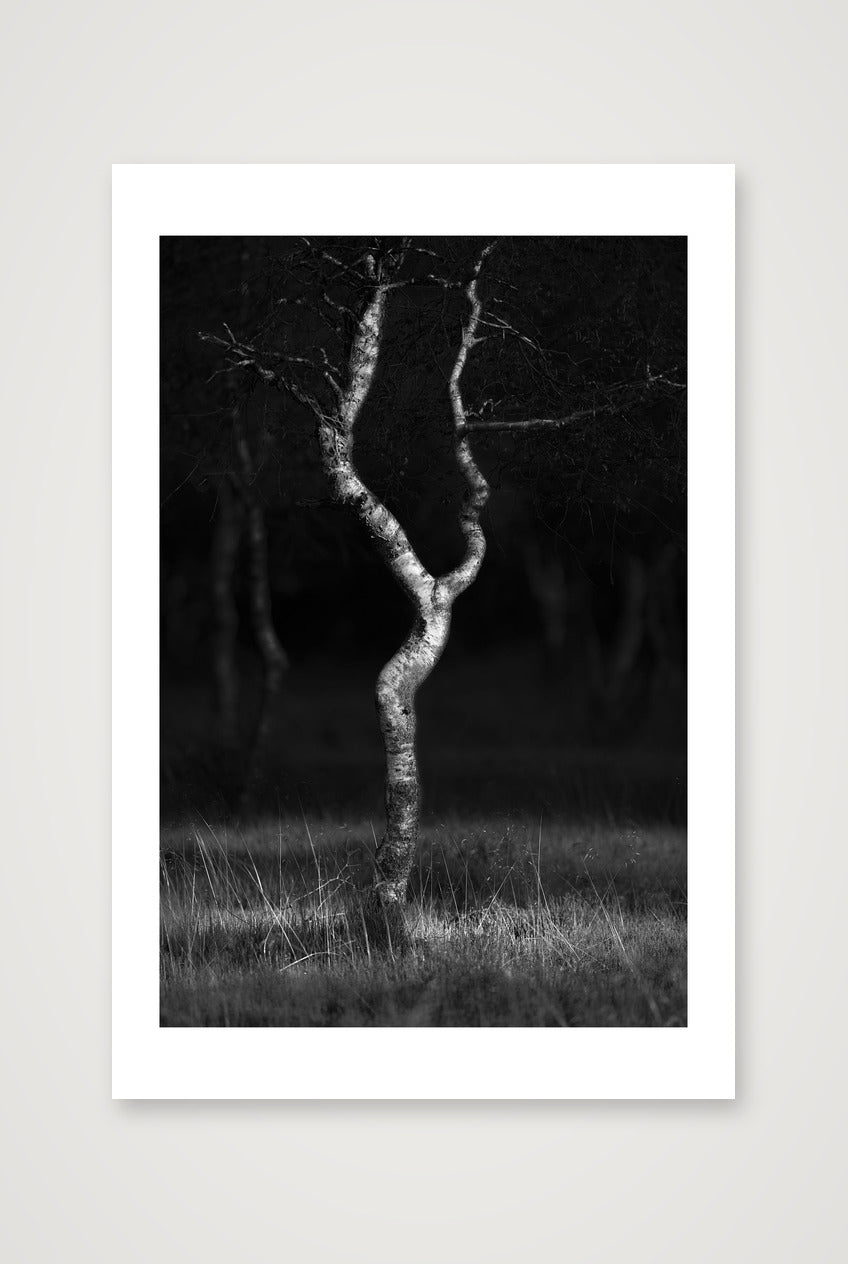 Henrik Ramsing Kristensen – Female Pose — 40×60cm, 16×24" Print only