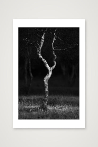Henrik Ramsing Kristensen – Female Pose — 40×60cm, 16×24" Print only