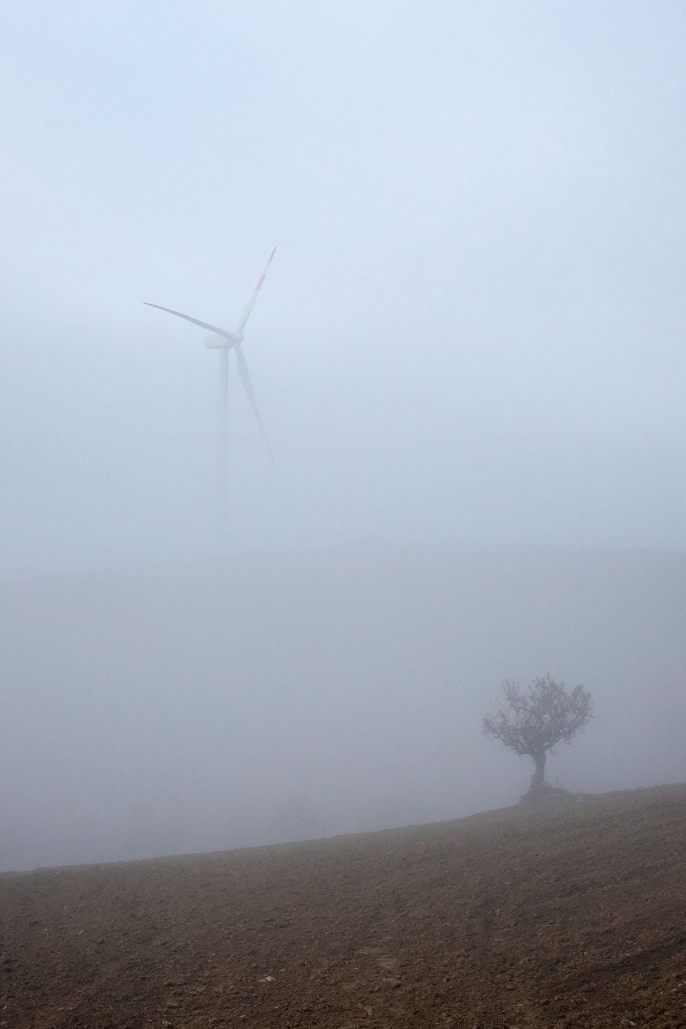 An image of a foggy landscape with a tree in the foreground and a windmill in the background.