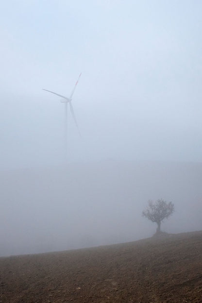 An image of a foggy landscape with a tree in the foreground and a windmill in the background.