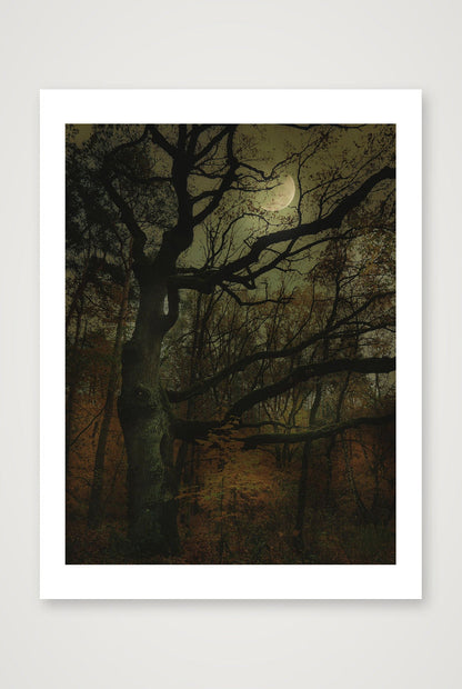 Krismaya – Untitled #2 — 30×40cm, 12×16" Print only