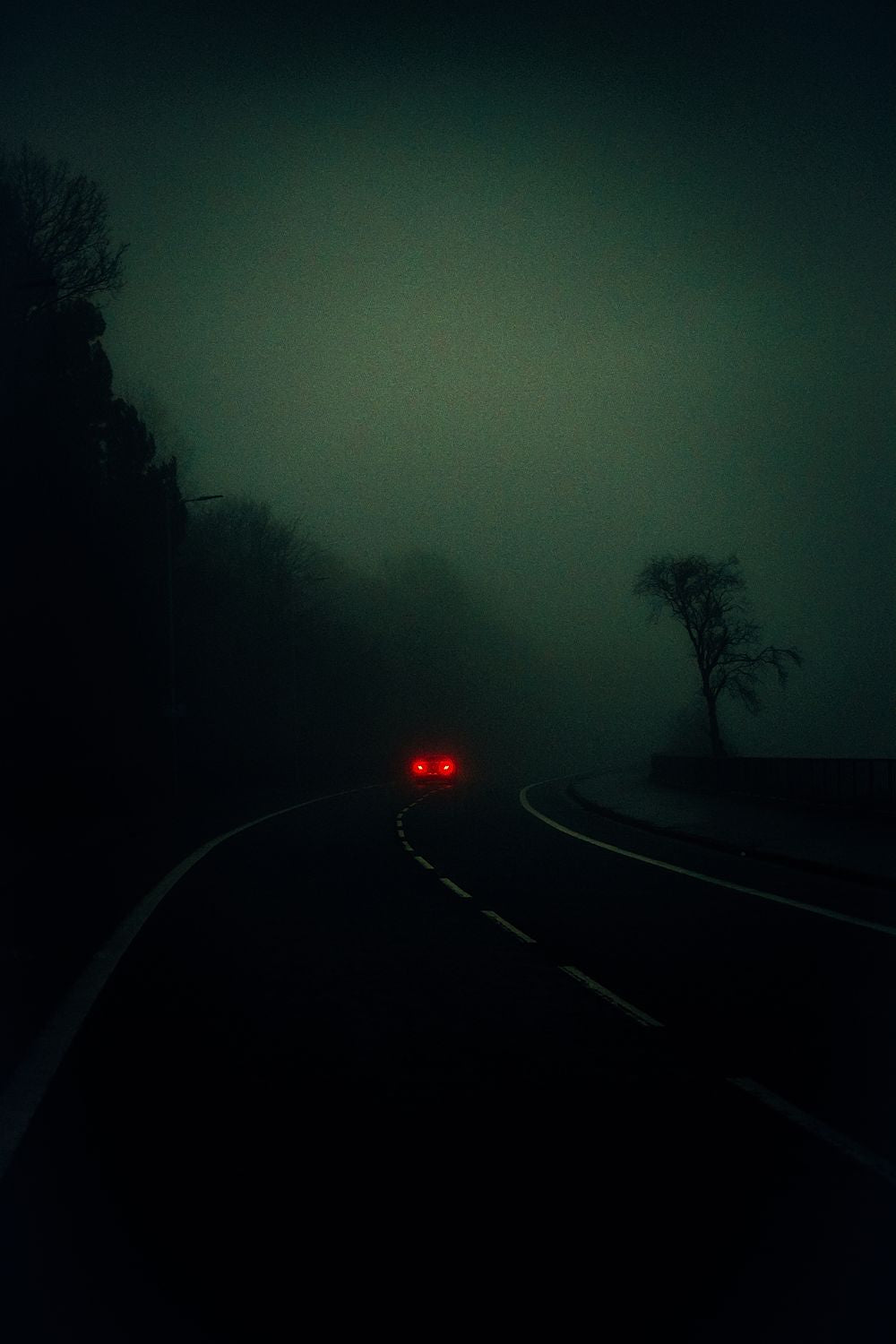A photograph featuring a dark, misty landscape with a tree in the foreground and a car's redlight in the back ground