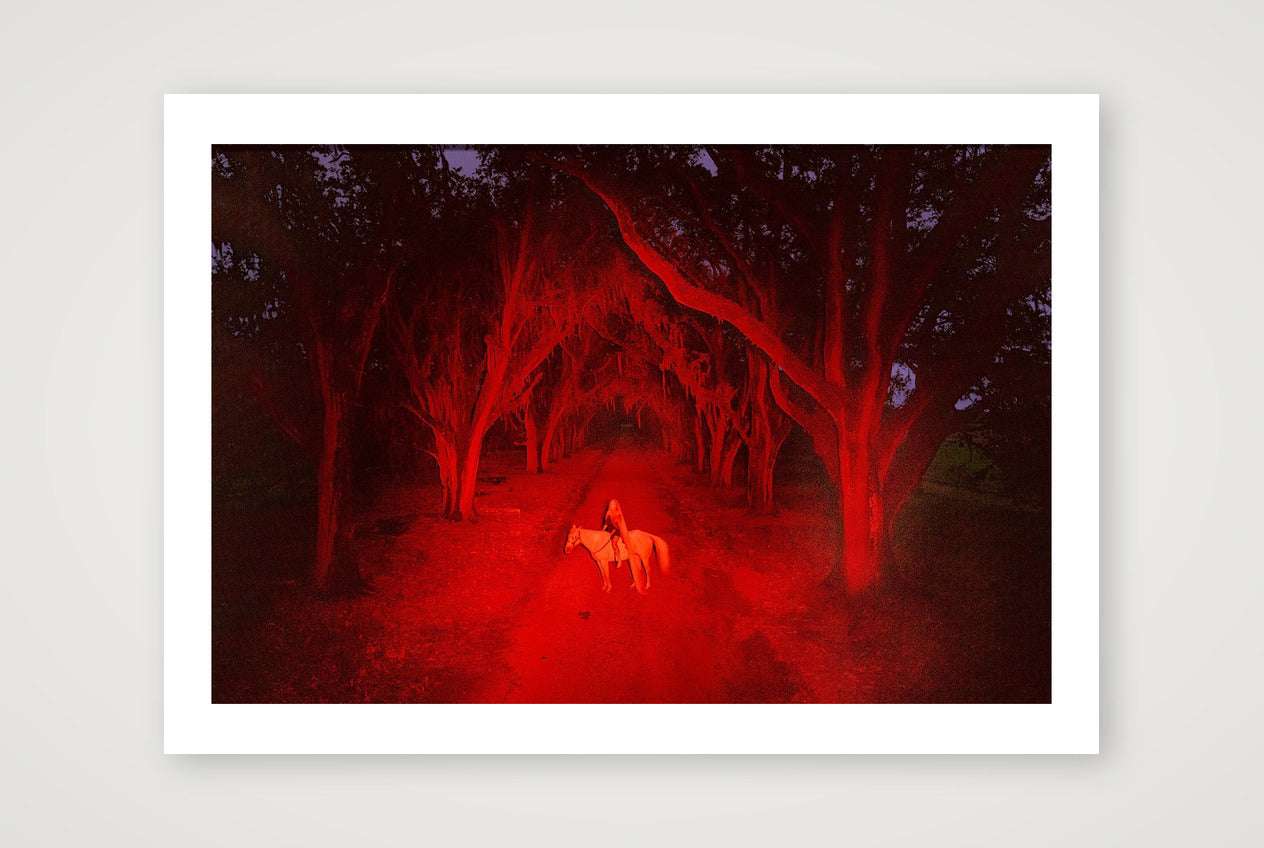 Briscoe Park – Alone Again — A4 (30×21cm, 12×8") Print only