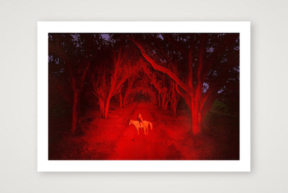 Briscoe Park – Alone Again — A4 (30×21cm, 12×8") Print only