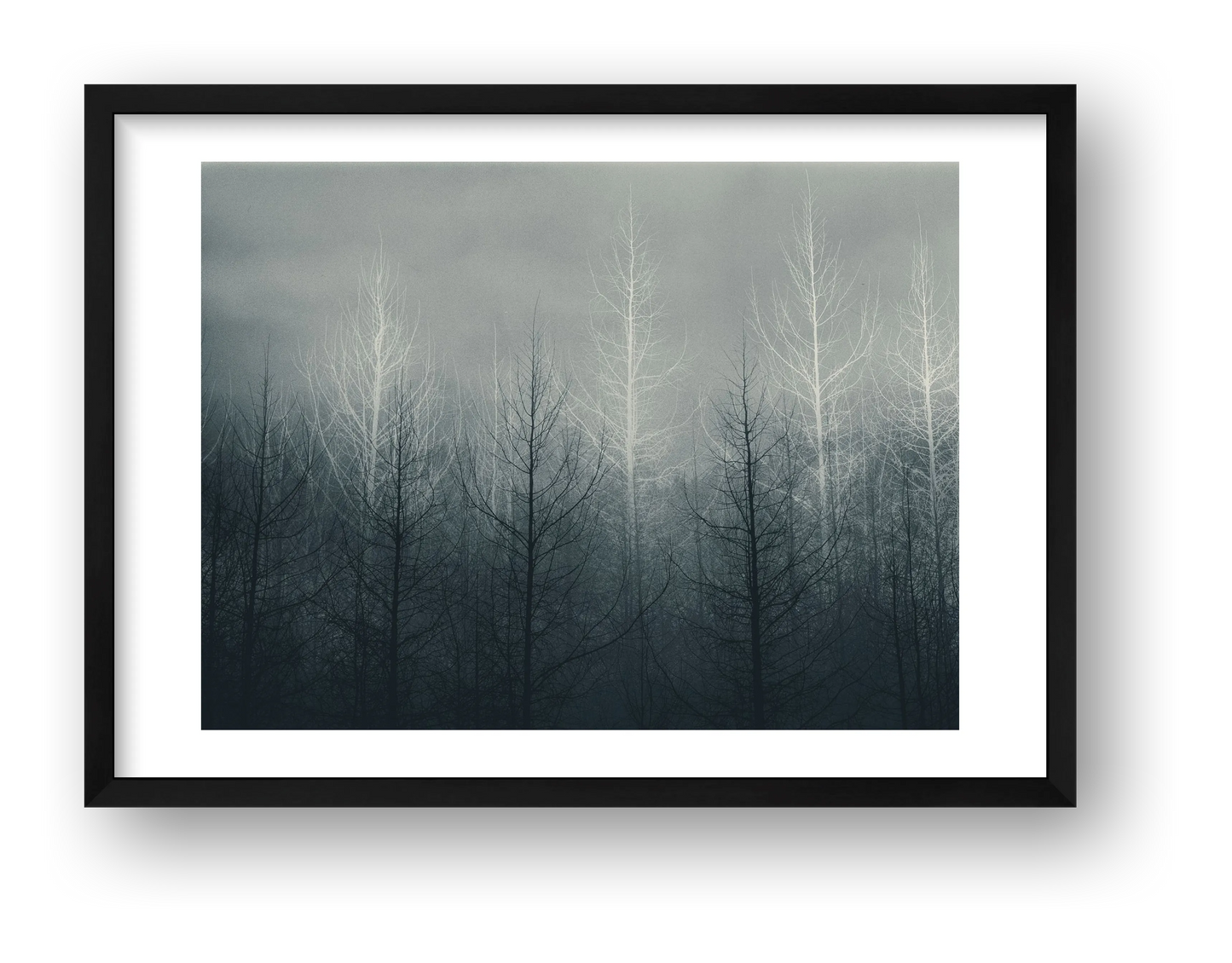 Pip – Untitled — framed
