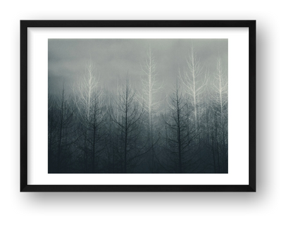 Pip – Untitled — framed