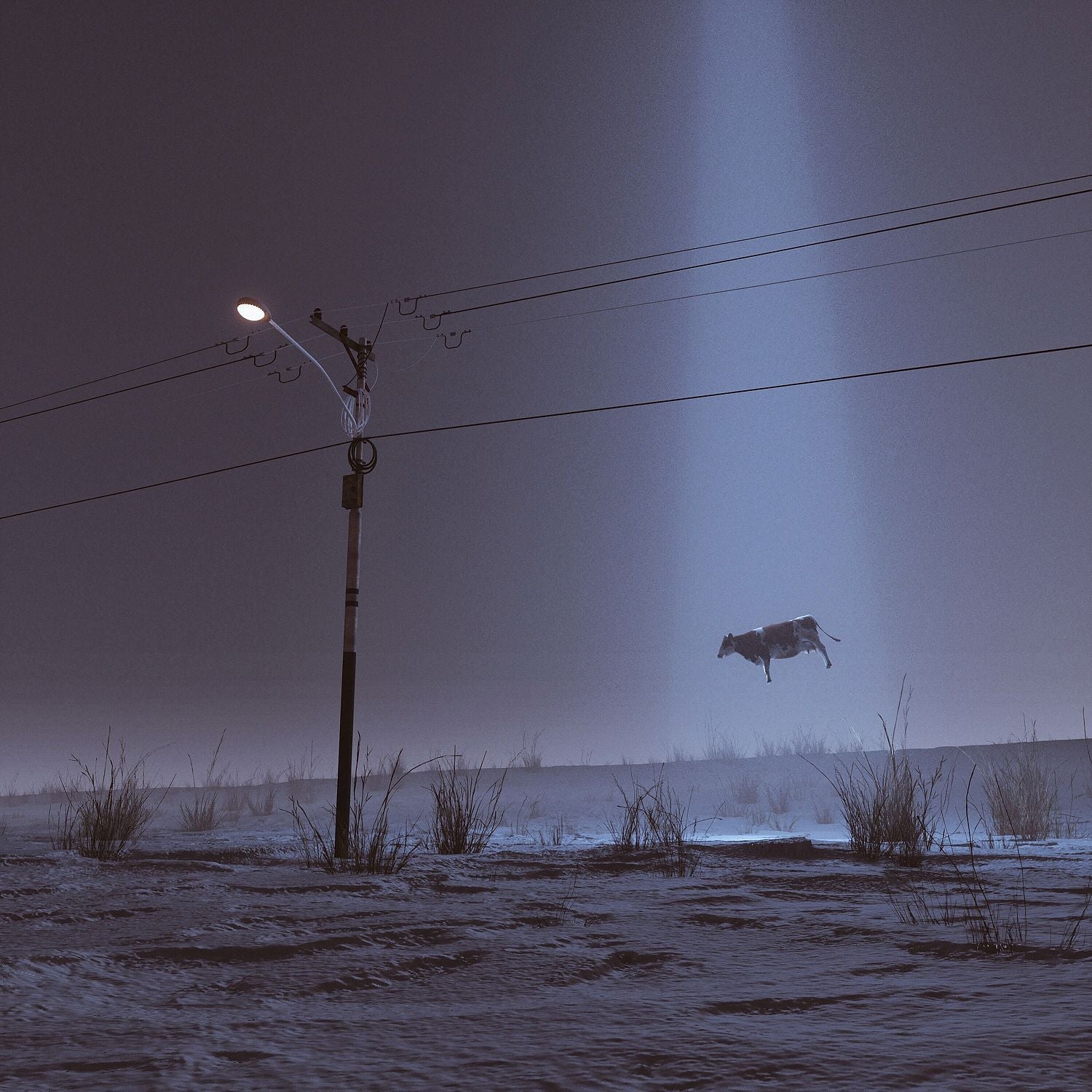 An image of a silhouette of a levitating cow against a dark background with a blurred light source above.