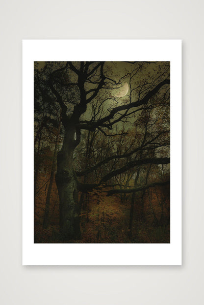 Krismaya – Untitled #2 — A4 (21×30cm, 8×12") Print only