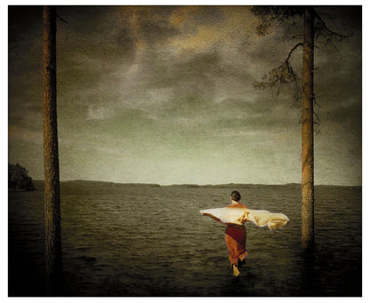 An image of a person standing on a body of water, with trees in the background and a cloudy sky above.