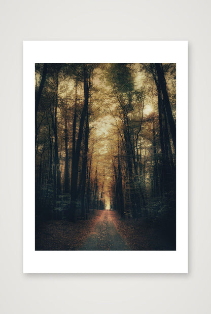 Krismaya – Untitled — A4 (21×30cm, 8×12") Print only