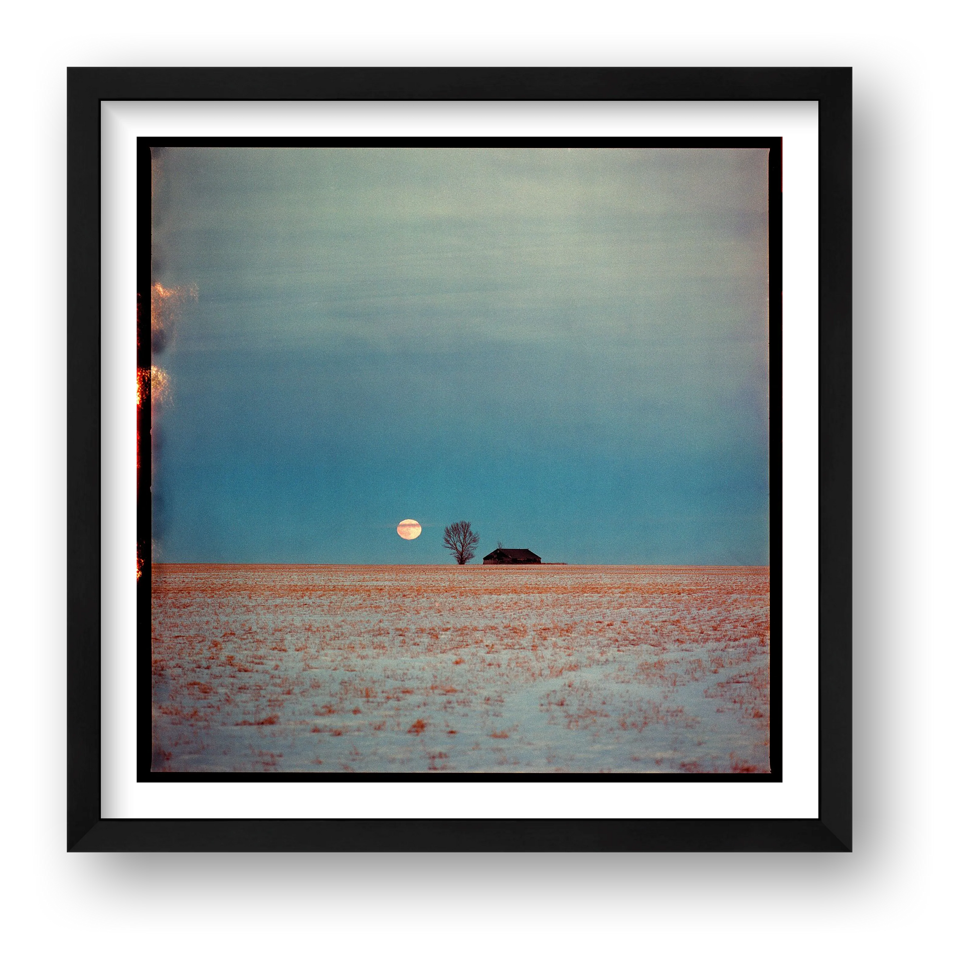 Dustin Veitch – Because There's No Planet B — framed