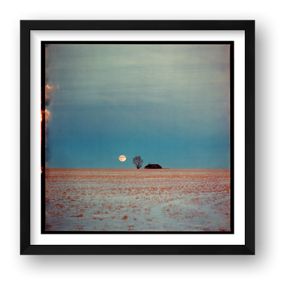 Dustin Veitch – Because There's No Planet B — framed