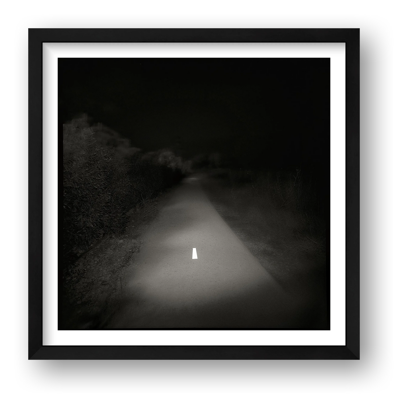 Fernando Flores Huecas – Serendipia II — framed