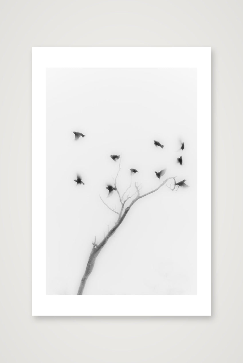 Michael Johnson – Thirteen Ways of Looking — 30×45cm, 12×18" Print only