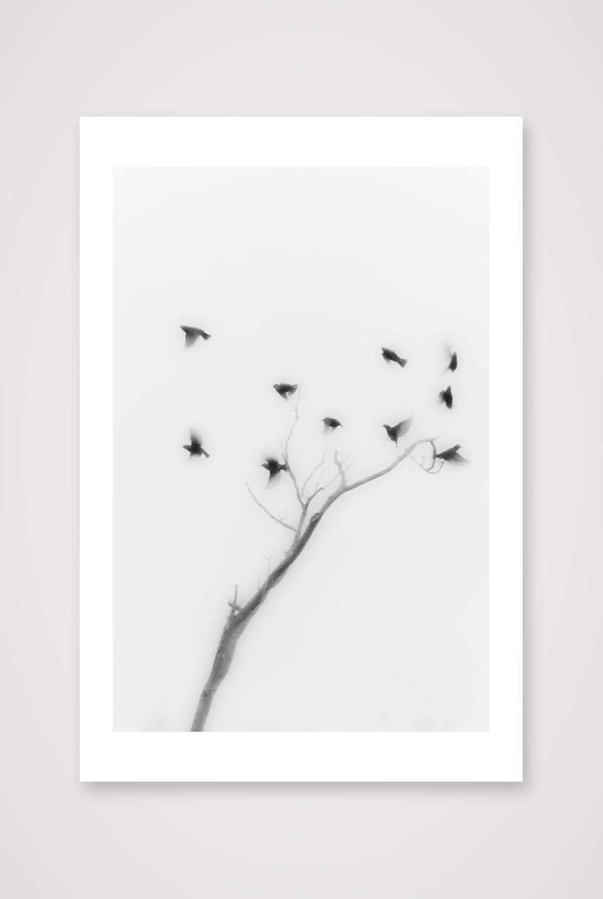 Michael Johnson – Thirteen Ways of Looking — 40×60cm, 16×24" Print only