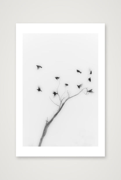 Michael Johnson – Thirteen Ways of Looking — 40×60cm, 16×24" Print only