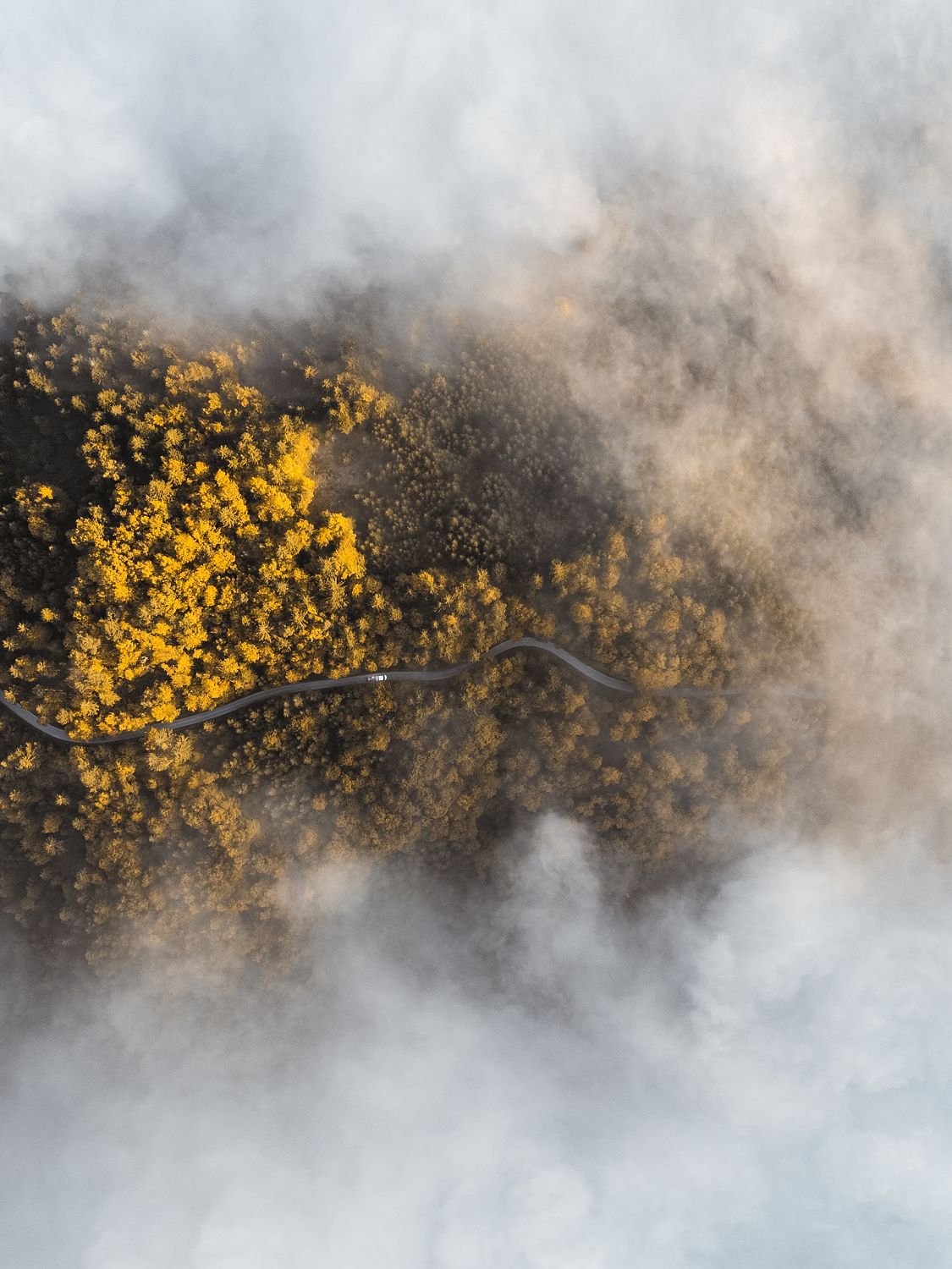 A landscape image with yellow and green hues, resembling a cloudy sky, presented on a black background. This appears to be a print or photo with a white border, possibly for mounting.