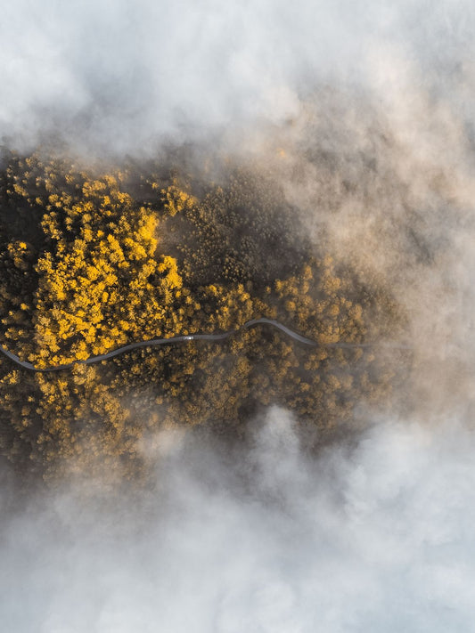 A landscape image with yellow and green hues, resembling a cloudy sky, presented on a black background. This appears to be a print or photo with a white border, possibly for mounting.