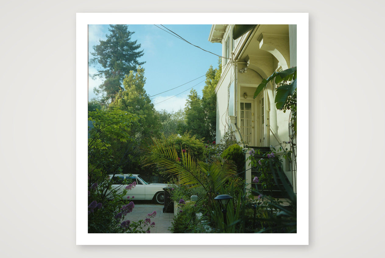 Kate Anderson – Hiding in Plain Sight — 50×50cm, 20×20" Print only
