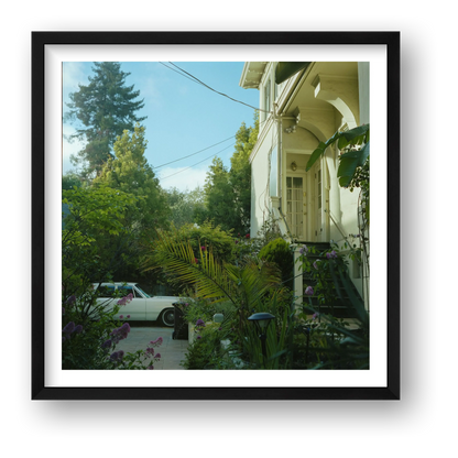 Kate Anderson – Hiding in Plain Sight — framed