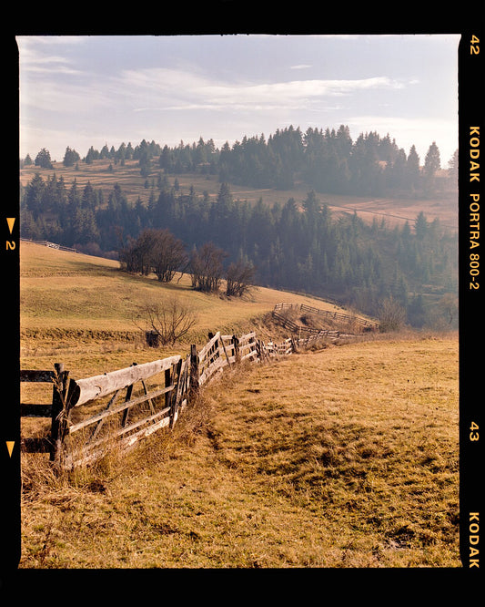 A photograph of a row of fences dividing up a landscape, with trees in the background