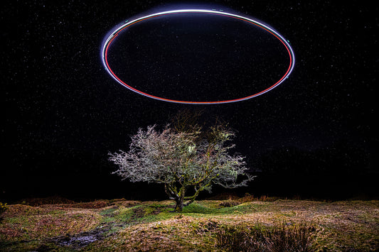 An artistic image of a ring of light shining above an open landscape with a tree in the middle 