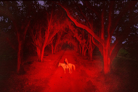 A photograph featuring a red-lit forest path with a silhouette of a person riding a horse in the foreground.