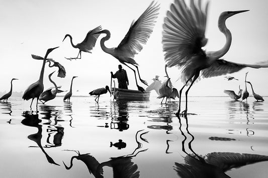 Black and white photo of a person in a boat with birds flying overhead.