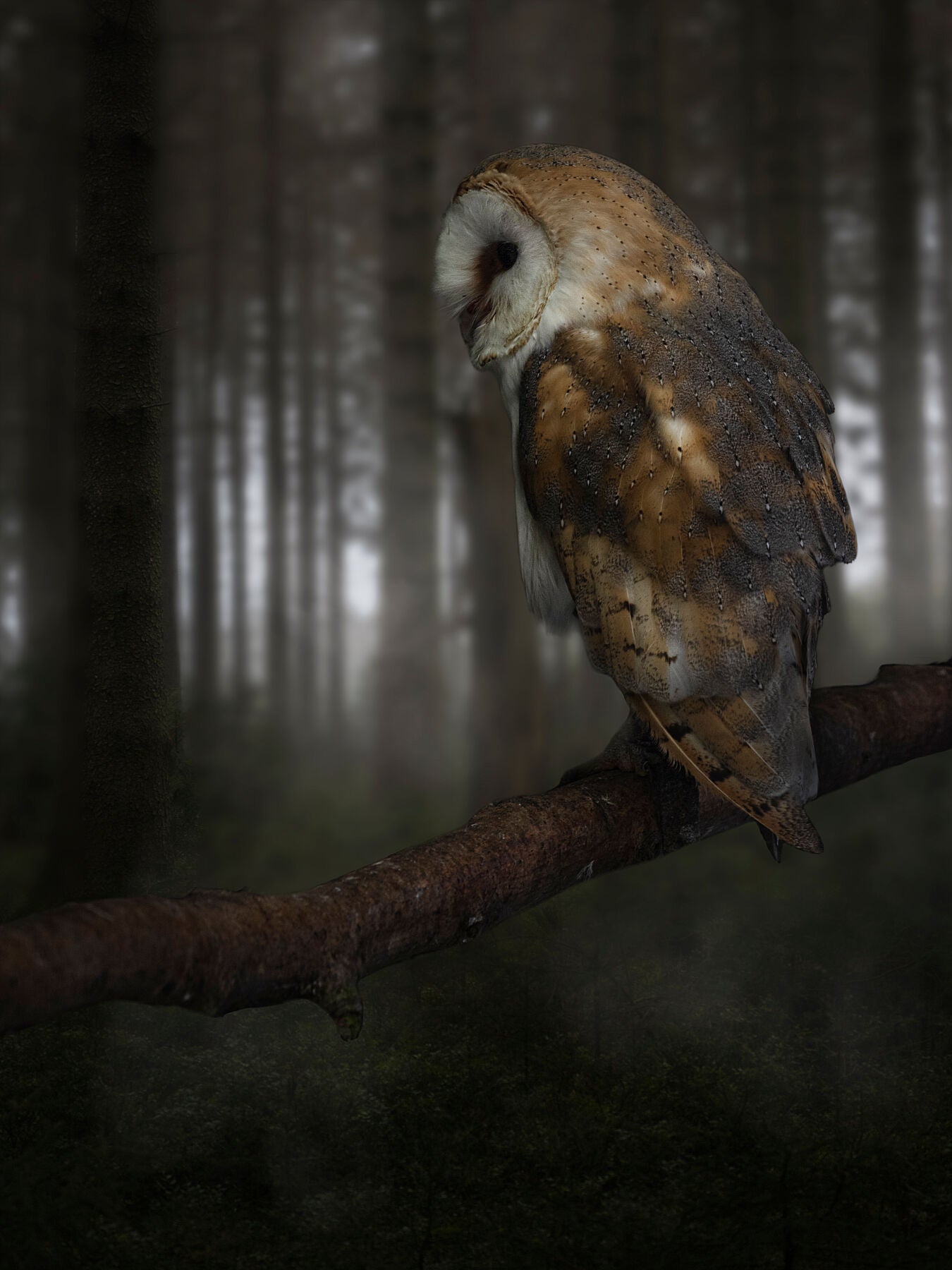 Michael Jonca – Awaiting For Nightfall