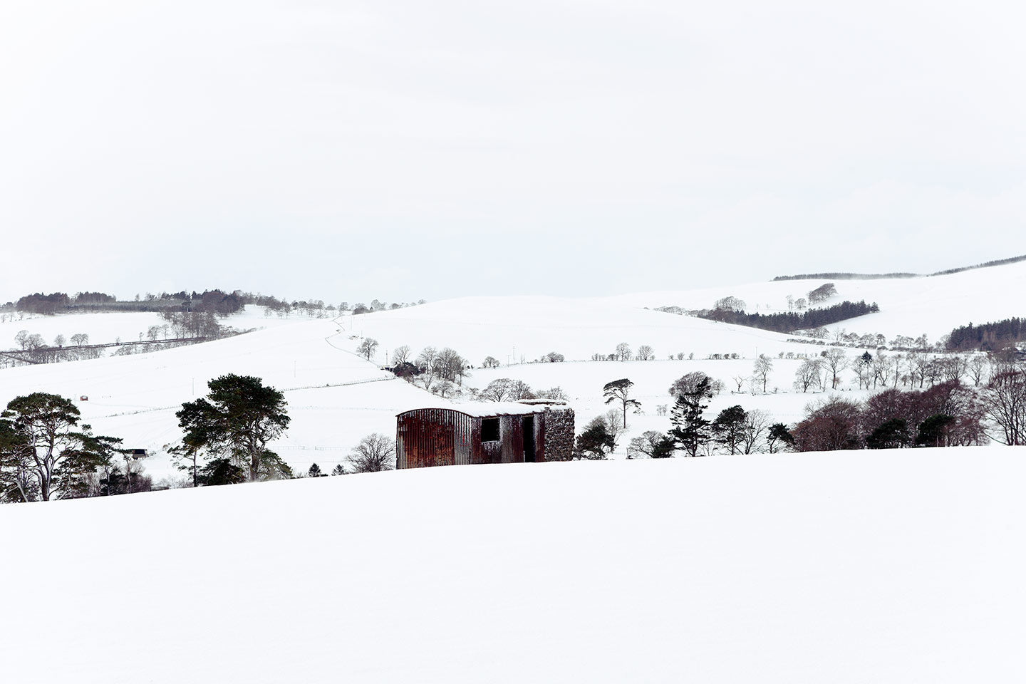 A photograph of a snowy landscape with a rusted shed in the middle surrounded by trees.