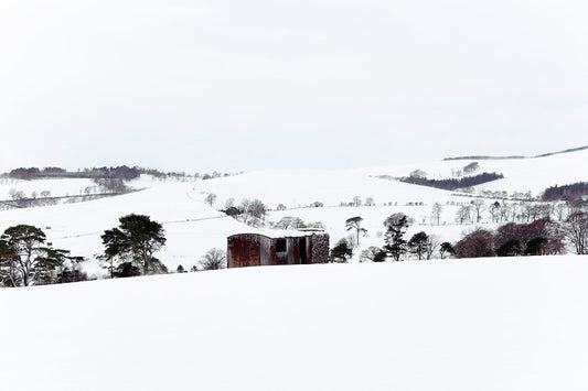 A photograph of a snowy landscape with a rusted shed in the middle surrounded by trees.