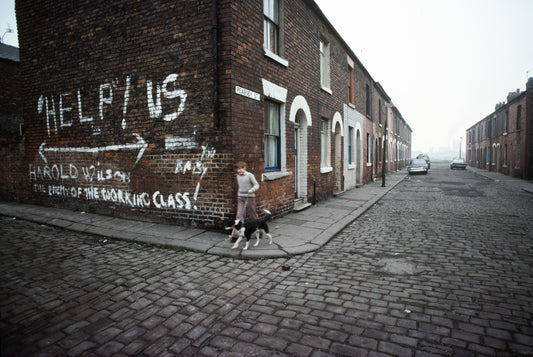 A photo of a street scene with a piece of graffiti on a wall saying 'HELP US THE WORKING CLASS!' There is a child walking their dog on the sidewalk.