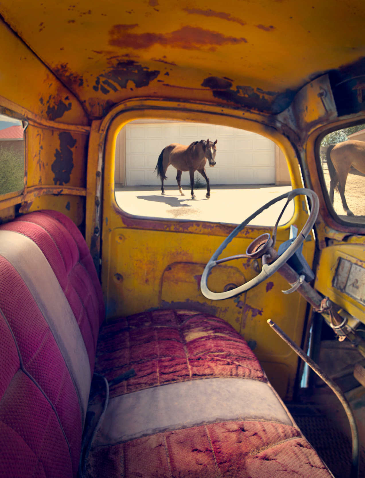 A photographic art print featuring the image of a horse looking through the windshield of a yellow suburban car. The car is parked, and the horse is visible in the foreground.
