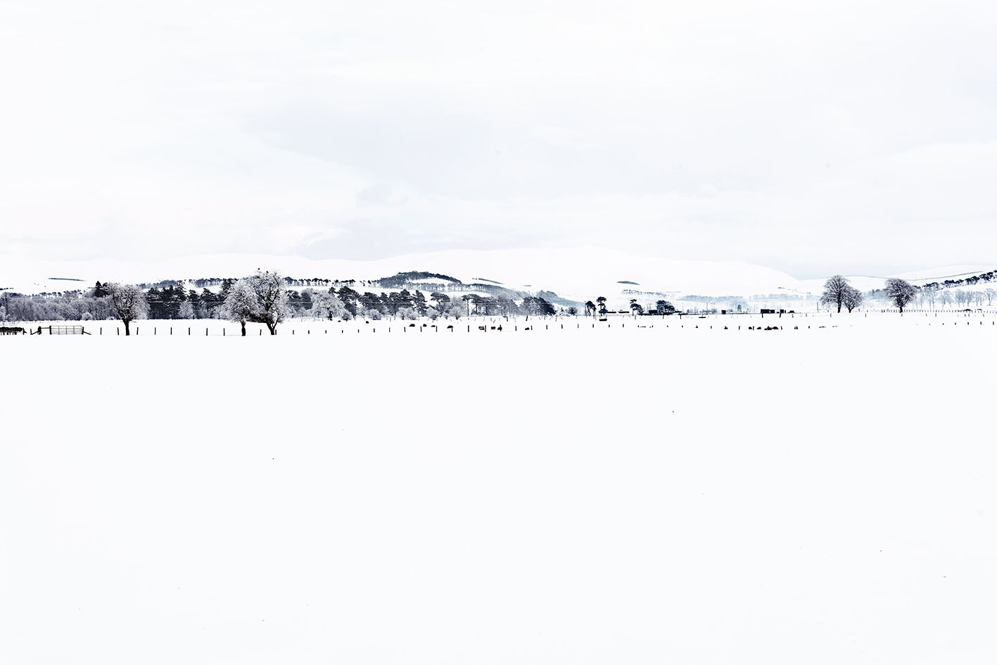 A landscape photograph featuring snow on the ground and mountains in the background.