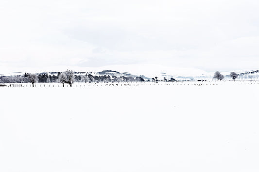 A landscape photograph featuring snow on the ground and mountains in the background.