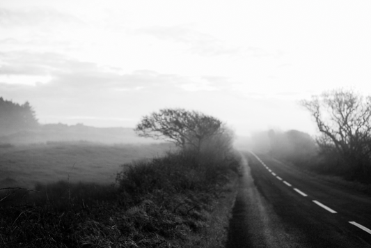 A black and white image of a misty road with trees on either side, part of the 'Tír na nÓg' series, edition 22.