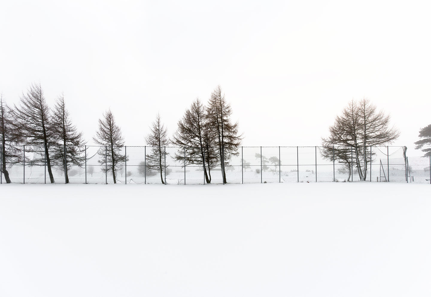 An image of leafless trees in a snowy landscape, part of an art series titled 'Snow'.