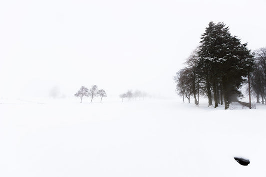 Keith Parry – Snow #19