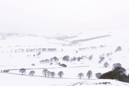 A landscape photograph featuring a snowy field with trees and hills in the background, part of the 'Traces' series by Keith Parry.