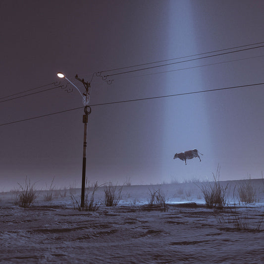 An image of a silhouette of a levitating cow against a dark background with a blurred light source above.